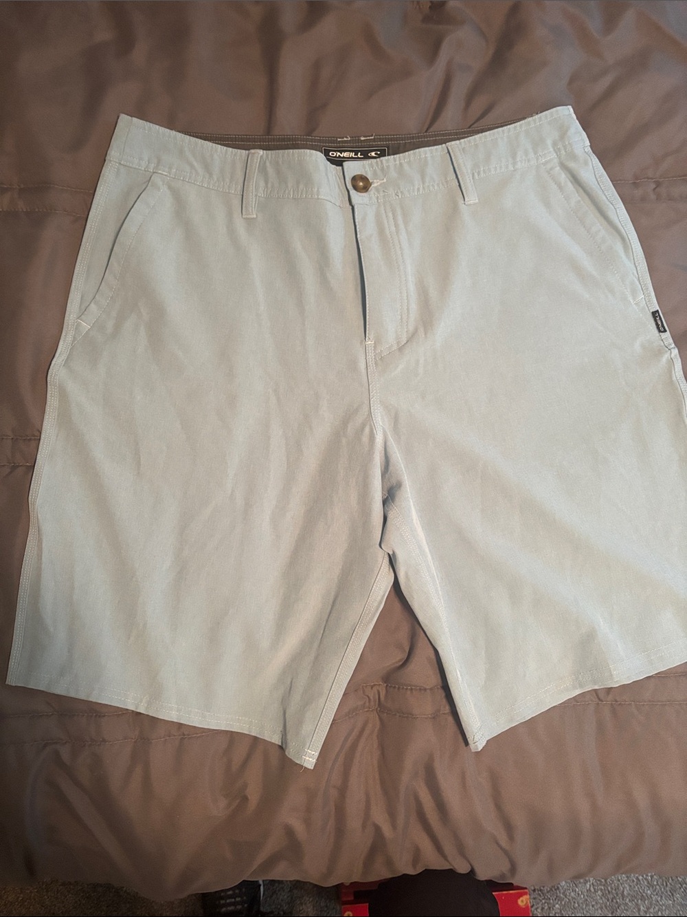 O'Neill Men's Pale Blue Flat Front Shorts